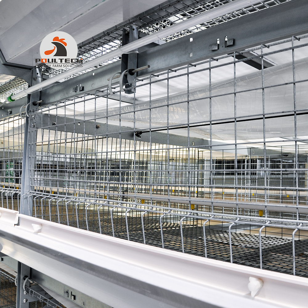 Battery Broiler Cage System - EuroFarm Poultry Farming Equipment