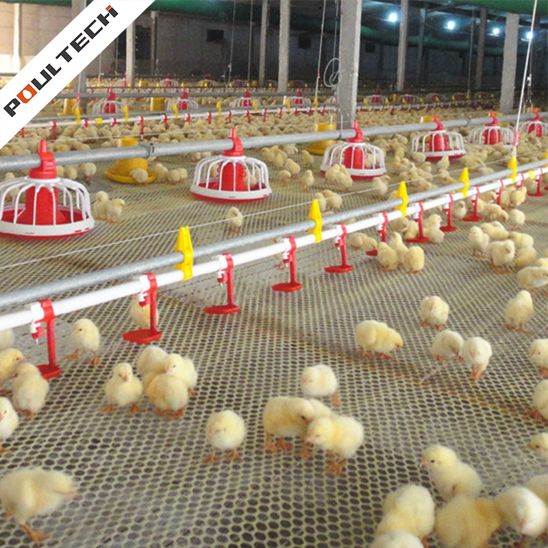 Broiler Floor Raising System - EuroFarm Poultry Farming Equipment