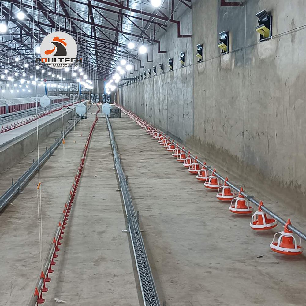 Breeder Floor Raising System - EuroFarm Poultry Farming Equipment